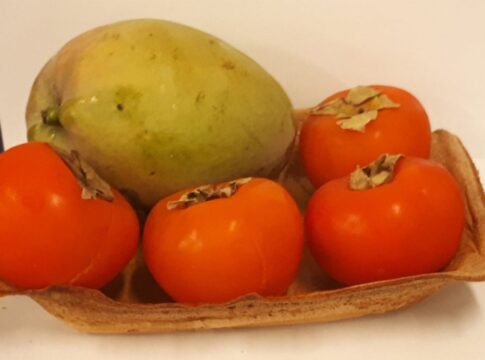 usp-desenvolve-bandejas-de-amido-e-curcuma-para-substituir-o-isopor