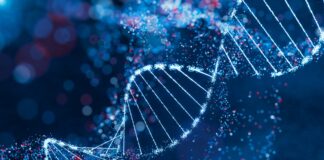 estudo-recupera-gene-ancestral-para-ajudar-a-tratar-a-gota