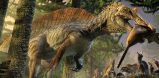 paleoarte:-saiba-como-sao-feitas-ilustracoes-de-animais-pre-historicos