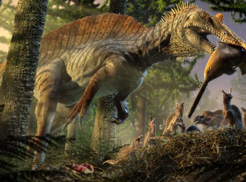 paleoarte:-saiba-como-sao-feitas-ilustracoes-de-animais-pre-historicos