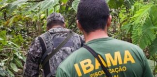 concurso-do-ibama:-autorizada-a-nomeacao-de-460-aprovados