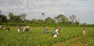 lista-de-desconto-em-credito-para-a-agricultura-familiar-e-ampliada