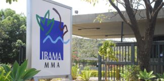 governo-autoriza-nomeacao-de-460-aprovados-em-concurso-do-ibama