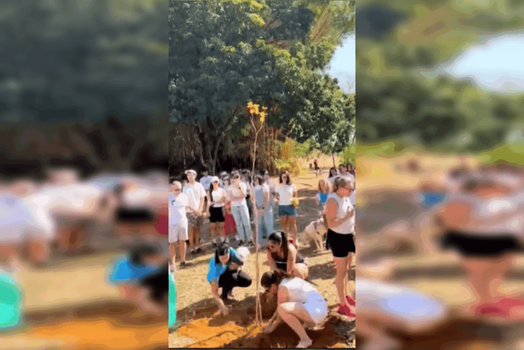 protetora-de-animais-morta-em-acidente-e-homenageada-com-ipe-amarelo