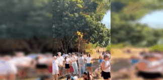protetora-de-animais-morta-em-acidente-e-homenageada-com-ipe-amarelo
