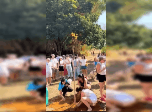 protetora-de-animais-morta-em-acidente-e-homenageada-com-ipe-amarelo