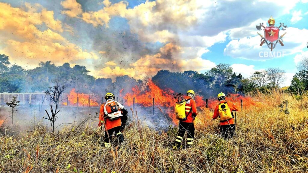 df-tem-a-3a-maior-queimada-do-ano;-equivalente-a-574-campos-de-futebol