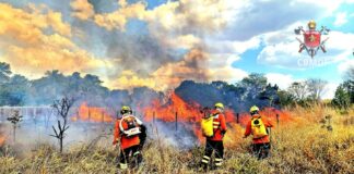 df-tem-a-3a-maior-queimada-do-ano;-equivalente-a-574-campos-de-futebol