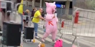 “porquinho-da-paulista”-pede-ajuda-para-identificar-homem-que-o-atacou
