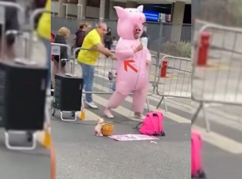 “porquinho-da-paulista”-pede-ajuda-para-identificar-homem-que-o-atacou