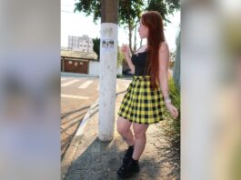 dog-walker-de-sp-perde-clientes-apos-ter-vida-dupla-online-descoberta