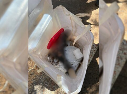 pe-humano-e-encontrado-com-materiais-reciclaveis-em-cooperativa-de-sp