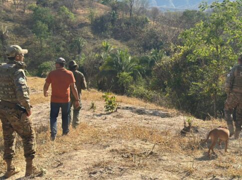 bpma-alerta-para-presenca-de-onca-e-filhotes-perto-de-chacaras-do-df