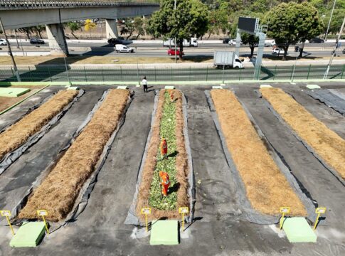 sao-paulo-ganha-mais-um-patio-que-transforma-sobras-de-feira-em-adubo