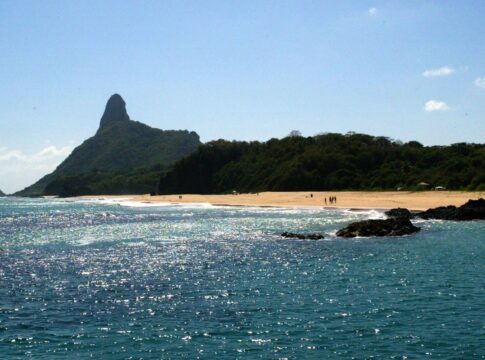 ilhas-brasileiras:-estudo-revela-presenca-de-especies-exclusivas