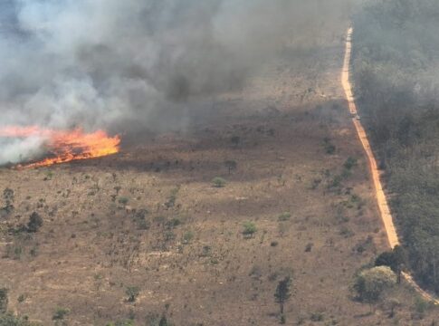 incendio-florestal-devasta-5,86%-da-floresta-nacional-de-brasilia