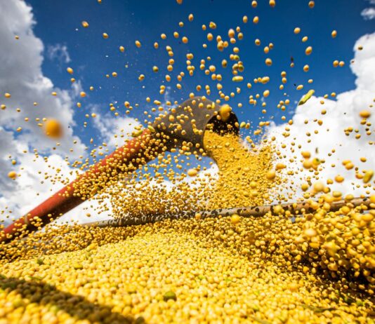 valor-da-producao-agricola-brasileira-recua-3,9%-em-2024,-mostra-ibge
