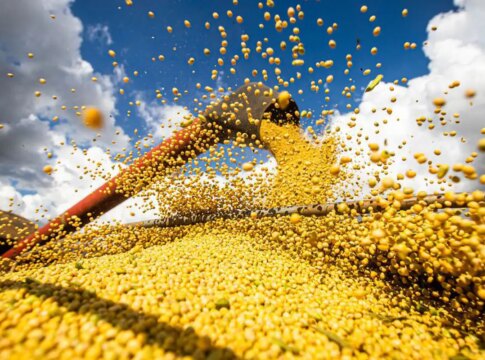 brasil-atinge-novo-recorde-com-350-milhoes-de-toneladas-de-graos