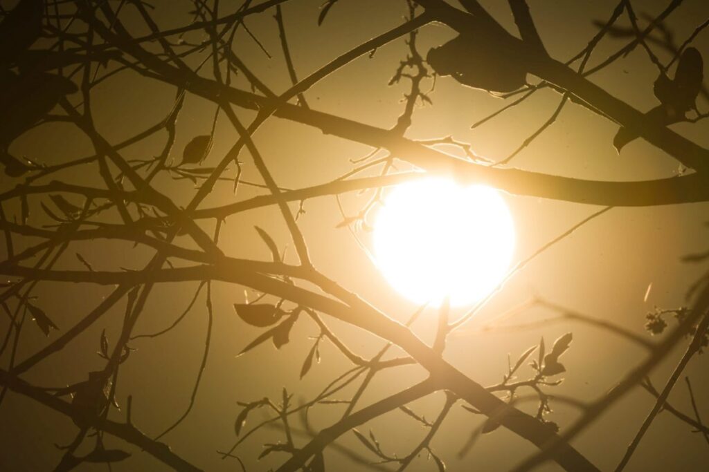 df-bate-recorde-de-calor-pelo-terceiro-dia-seguido:-35,7-oc;-umidade-caiu-a-9%