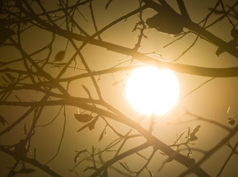 df-bate-recorde-de-calor-pelo-terceiro-dia-seguido:-35,7-oc;-umidade-caiu-a-9%