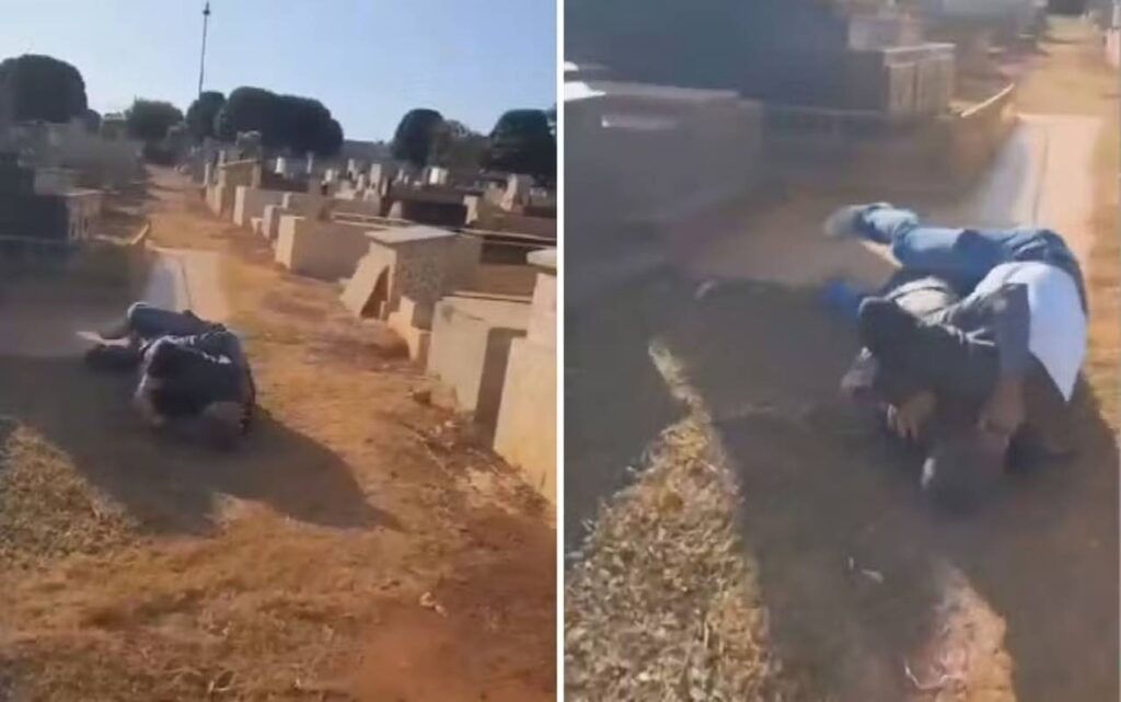 go:-advogado-e-jardineiro-trocam-socos-em-cemiterio.-video