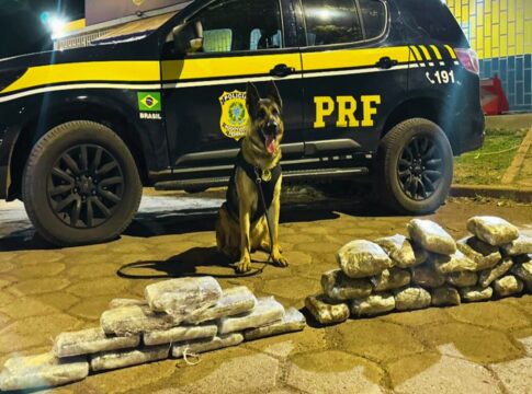 cachorro-acha-20-kg-de-drogas-em-mala-e-estraga-viagem-de-traficante