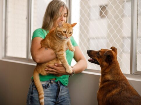 seu-cachorro-“morre”-de-ciumes-de-voce?-veja-por-que-e-como-resolver
