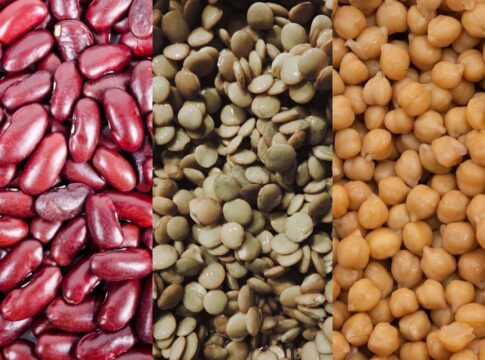 feijao,-lentilha-ou-grao-de-bico:-qual-opcao-tem-mais-proteina?