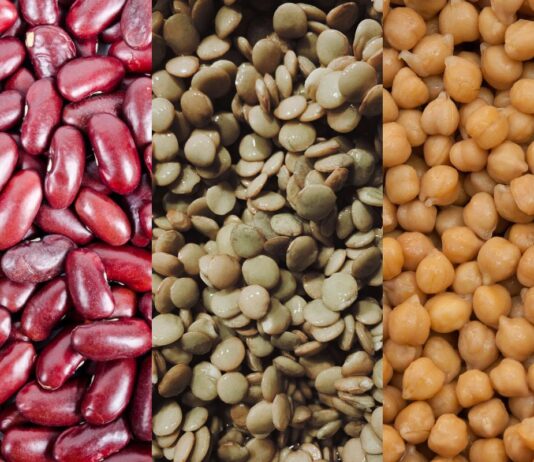 feijao,-lentilha-ou-grao-de-bico:-qual-opcao-tem-mais-proteina?