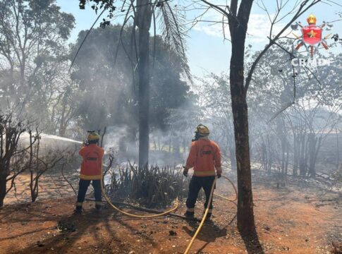 incendio-florestal-volta-a-atingir-o-lago-oeste-pelo-2o-dia-consecutivo