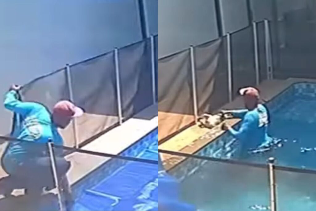 video:-homem-salva-cachorro-cego-prestes-a-morrer-no-fundo-de-piscina