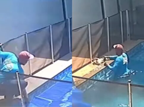video:-homem-salva-cachorro-cego-prestes-a-morrer-no-fundo-de-piscina