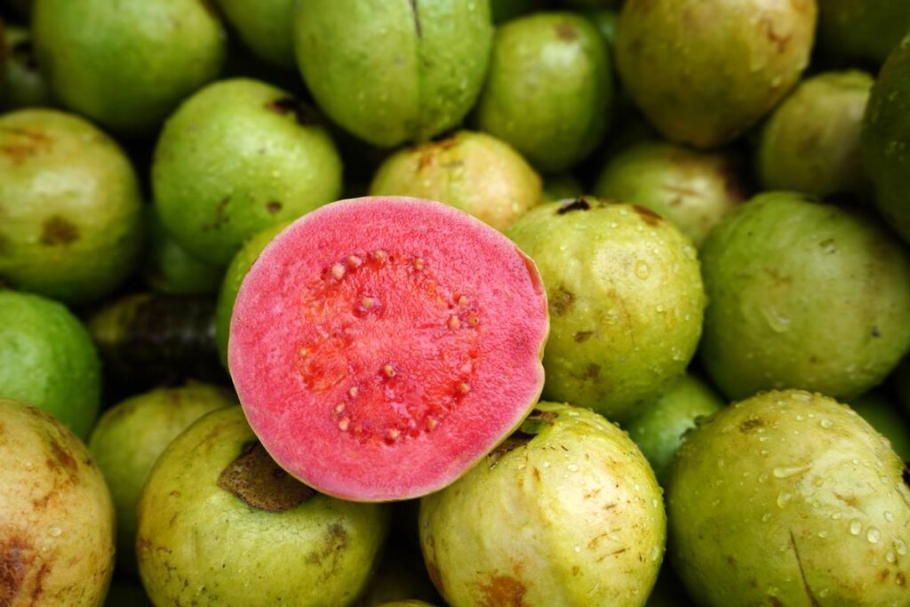 estudo-recria-molecula-da-goiaba-que-pode-combater-o-cancer-de-figado