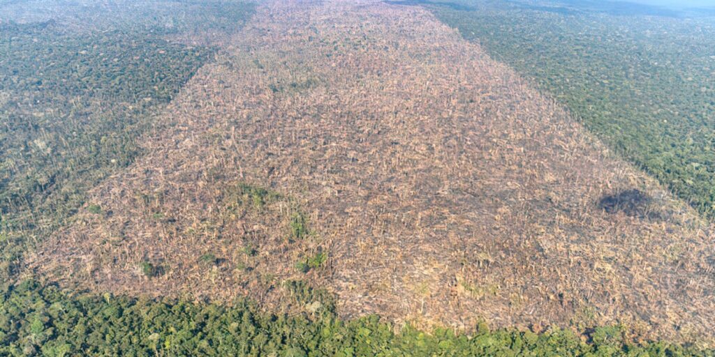 mma-e-inpe-lancam-sistema-para-monitoramento-diario-da-amazonia