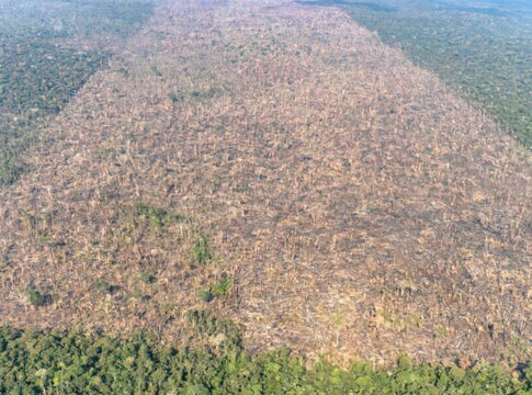 mma-e-inpe-lancam-sistema-para-monitoramento-diario-da-amazonia