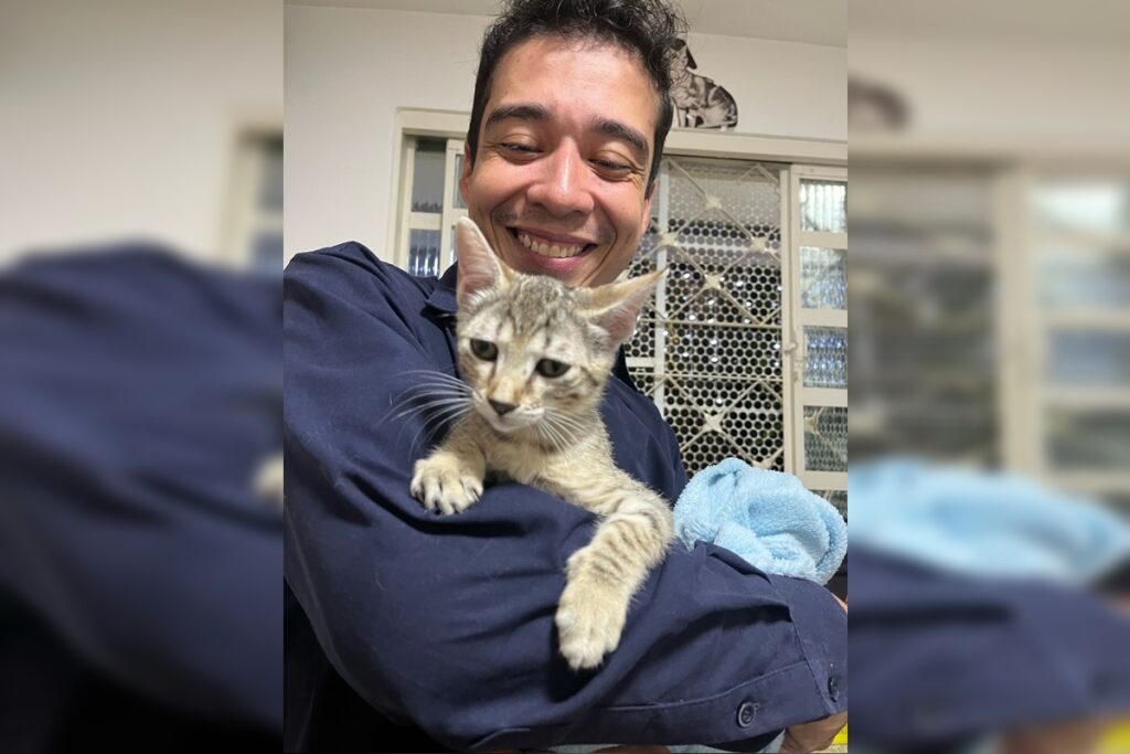 psicologo-que-torturou-e-matou-20-gatos-no-df-tem-julgamento-marcado