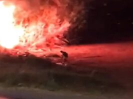 foragido-da-justica-e-preso-apos-incendiar-mata-na-df-290.-veja-video