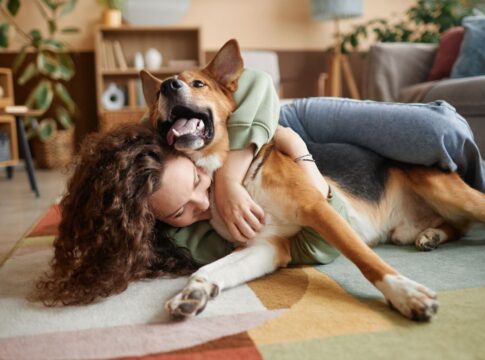 dez-sinais-de-que-seu-cachorro-te-considera-a-pessoa-preferida-dele