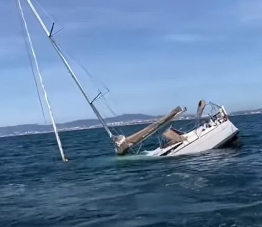 baleia-assassina?-orcas-afundam-barco-com-5-pessoas-em-portugal;-video