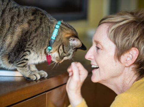 por-que-falamos-com-pets-como-se-fossem-gente,-segundo-a-psicologia