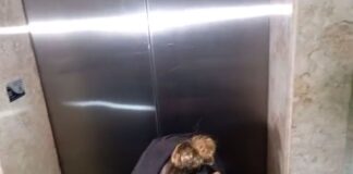 policia-pede-prisao-de-mulher-envolvida-na-morte-de-ex-delegado