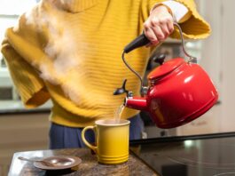 descubra-cha-anti-inflamatorio-que-ajuda-a-fortalecer-a-saude-dos-rins