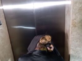 mulher-e-presa-e-policia-faz-buscas-por-suspeitos-de-matar-ex-delegado