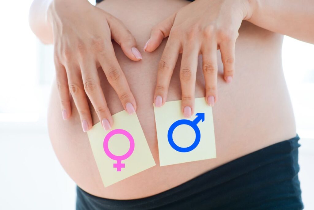 dia-da-ovulacao-define-sexo-do-bebe?-ginecologistas-esclarecem-teoria