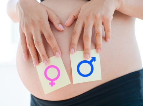 dia-da-ovulacao-define-sexo-do-bebe?-ginecologistas-esclarecem-teoria