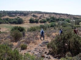 cientistas-encontram-rota-de-migracao-usada-a-pe-por-homens-primitivos