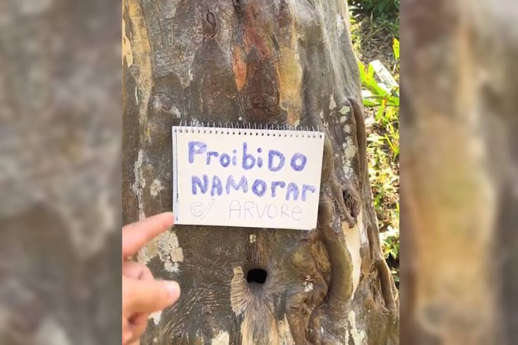 morador-usa-pimenta-para-jovens-nao-transarem-com-buraco-de-arvore