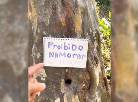 morador-usa-pimenta-para-jovens-nao-transarem-com-buraco-de-arvore