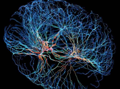 o-que-a-neurociencia-me-ensinou-sobre-marcas-que-criam-valor