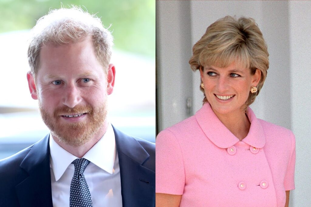 a-grande-diferenca-entre-harry-e-a-saudosa-lady-di,-segundo-autor-real